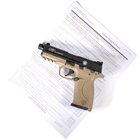 firearm on 4473 form